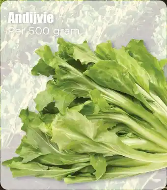 Dirk Andijvie aanbieding