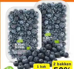 Albert Heijn AH Biologische blauwe bessen aanbieding