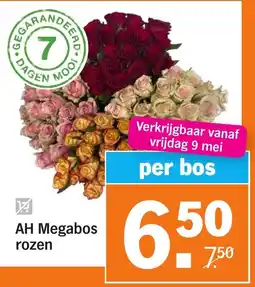 Albert Heijn AH Megabos rozen aanbieding