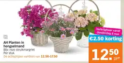 Albert Heijn AH Planten in hengselmand aanbieding
