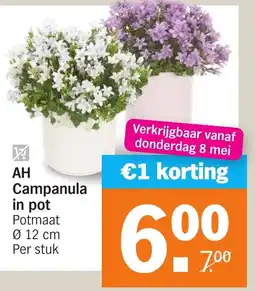 Albert Heijn AH Campanula in pot aanbieding