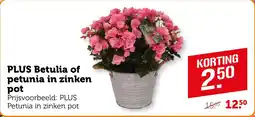 Coop PLUS Betulia of petunia in zinken pot aanbieding