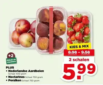PLUS PLUS aanbieding