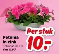 PLUS Petunia in zink aanbieding
