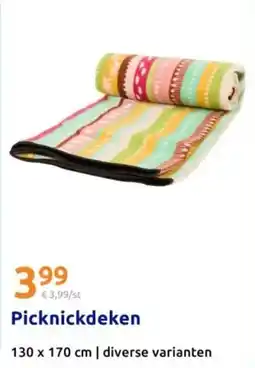 Action Picknickdeken aanbieding