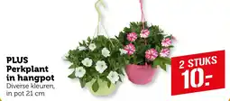 Coop PLUS Perkplant in hangpot aanbieding