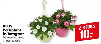 Coop PLUS Perkplant in hangpot aanbieding