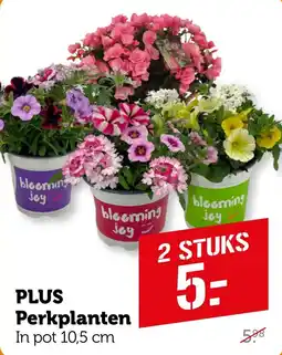 Coop PLUS Perkplanten aanbieding