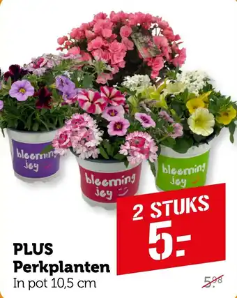 Coop PLUS Perkplanten aanbieding