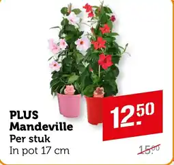 Coop PLUS Mandeville aanbieding