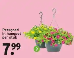 GAMMA Perkgoed in hangpot per stuk aanbieding
