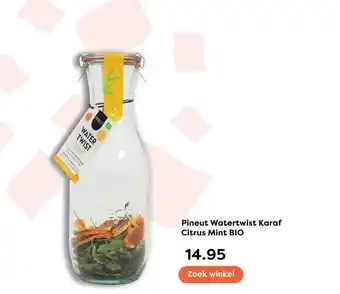 The Read Shop Pineut Watertwist Karaf Citrus Mint BIO aanbieding