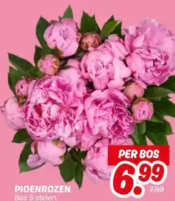 Dekamarkt Pioenrozen aanbieding