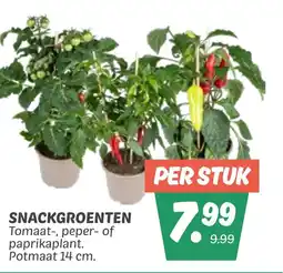 Dekamarkt Snackgroenten aanbieding