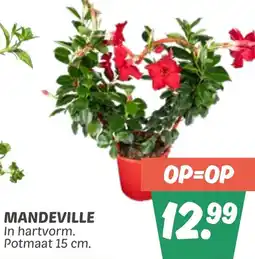 Dekamarkt Mandeville aanbieding