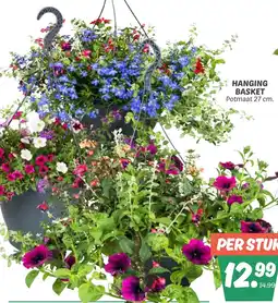 Dekamarkt Hanging basket aanbieding