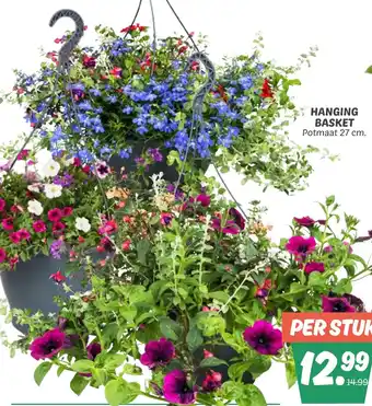 Dekamarkt Hanging basket aanbieding