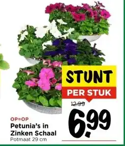 Vomar Voordeelmarkt Petunia's in Zinken Schaal aanbieding