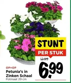 Vomar Voordeelmarkt Petunia's in Zinken Schaal aanbieding