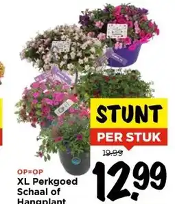 Vomar Voordeelmarkt XL Perkgoed Schaal of Hangplant aanbieding