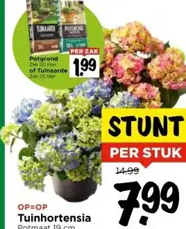 Vomar Voordeelmarkt Tuinhortensia aanbieding