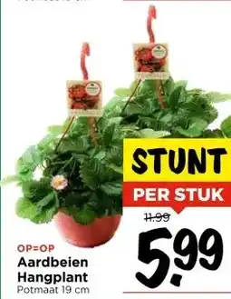 Vomar Voordeelmarkt Aardbeien Hangplant aanbieding