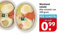 Hoogvliet Westland salade aanbieding