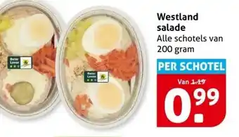 Hoogvliet Westland salade aanbieding