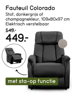 Leen Bakker Fauteuil Colorado aanbieding
