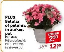 Coop PLUS Betulia of petunia in zinken pot aanbieding
