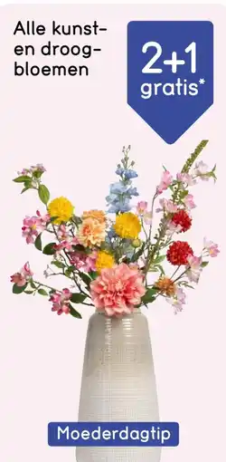 Leen Bakker Alle kunst en droog bloemen aanbieding
