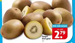 Hoogvliet Zespri kiwi gold aanbieding