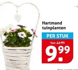Hoogvliet Hartmand tuinplanten aanbieding