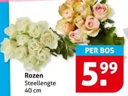 Hoogvliet Rozen aanbieding
