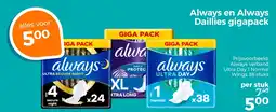 Trekpleister Always en Always Daillies gigapack aanbieding