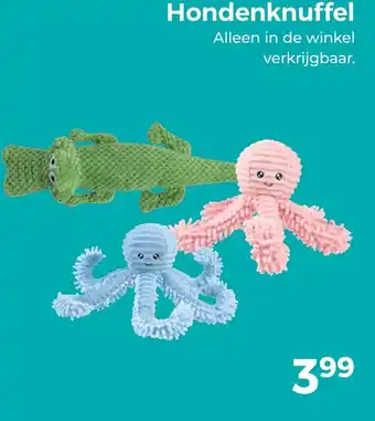 Trekpleister Hondenknuffel aanbieding