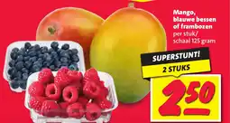Nettorama Mango, blauwe bessen of frambozen aanbieding