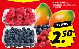 Boni Blauwe bessen of frambozen  of mango aanbieding