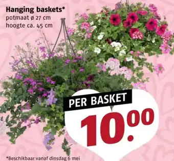 Poiesz Hanging baskets aanbieding
