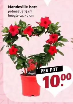 Poiesz Mandeville hart aanbieding