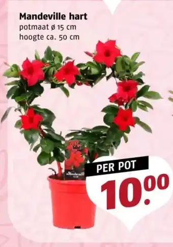 Poiesz Mandeville hart aanbieding