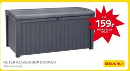 Praxis KETER KUSSENBOX BORNEO aanbieding