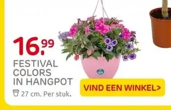 Praxis FESTIVAL COLORS IN HANGPOT aanbieding