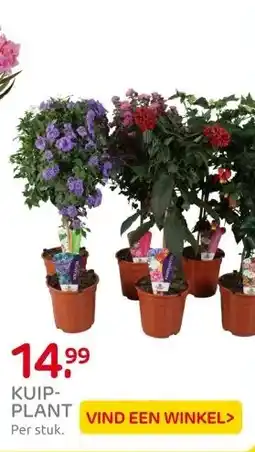 Praxis KUIP- PLANT aanbieding