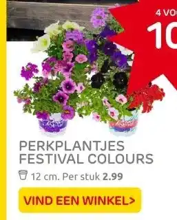 Praxis PERKPLANTJES FESTIVAL COLOURS aanbieding