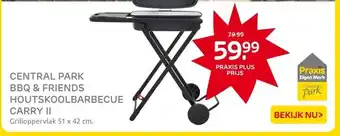 Praxis CENTRAL PARK BBQ & FRIENDS HOUTSKOOLBARBECUE CARRY II aanbieding