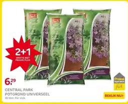 Praxis CENTRAL PARK POTGROND UNIVERSEEL aanbieding