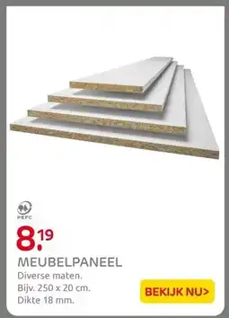 Praxis MEUBELPANEEL aanbieding