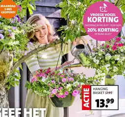 Intratuin HANGING BASKET aanbieding