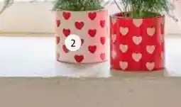 Intratuin Pot hartjes. Aardewerk, lichtroze of rood, exclusief plant. Ø 14 cm, hoogte 14 cm. aanbieding